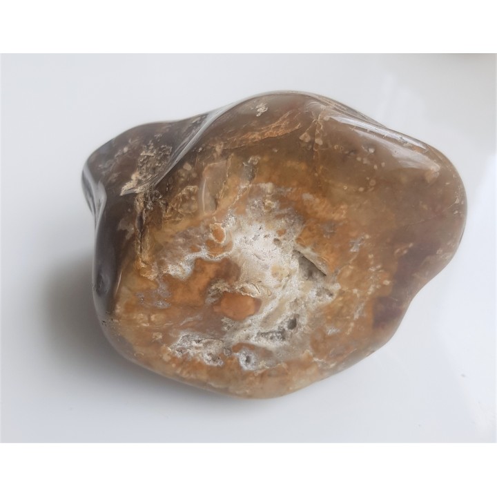 Polerowana gąbka - krzemień z Niżu Polskiego