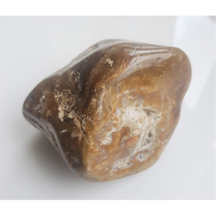 Polerowana gąbka - krzemień z Niżu Polskiego