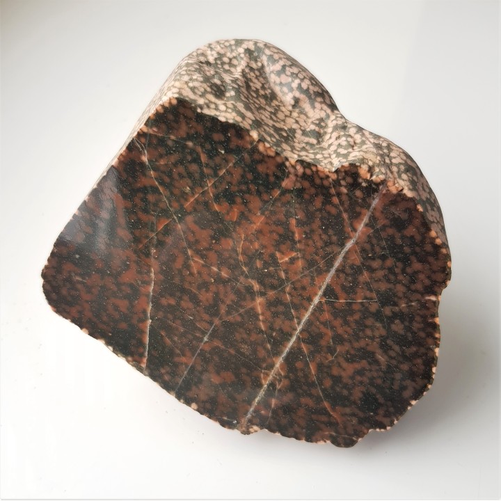 Adinol ze zlepieńców kulmu okolic Wałbrzycha