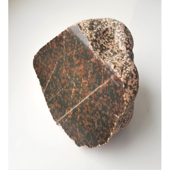 Adinol ze zlepieńców kulmu okolic Wałbrzycha