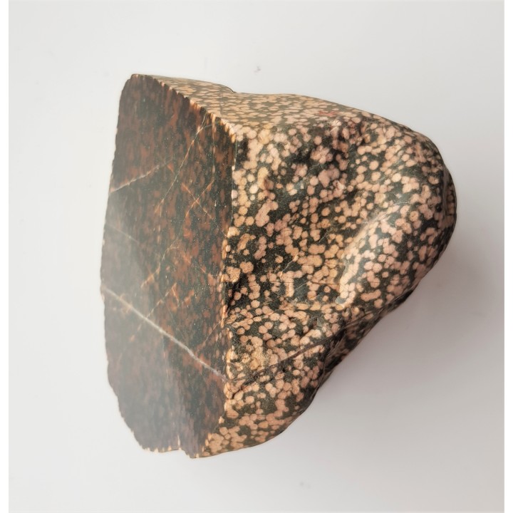 Adinol ze zlepieńców kulmu okolic Wałbrzycha