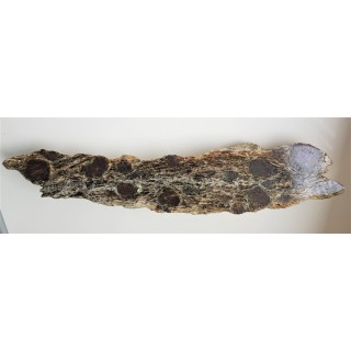 Polerowany łupek z wielkimi granatami