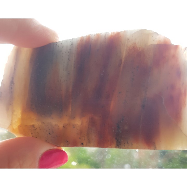 Płytka ozdobnego kwarcytu z wrostkami pirytu z Jegłowej