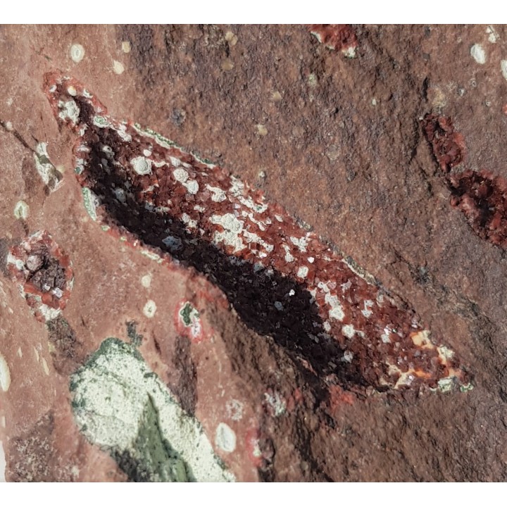 Heulandyt z Tenczynka