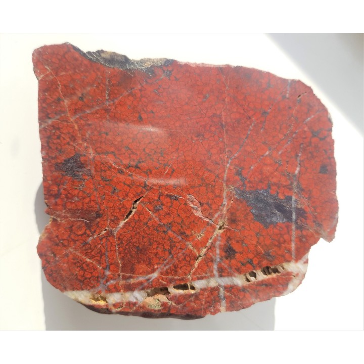 Orbikularny jaspis z okolic Kamiennej Góry