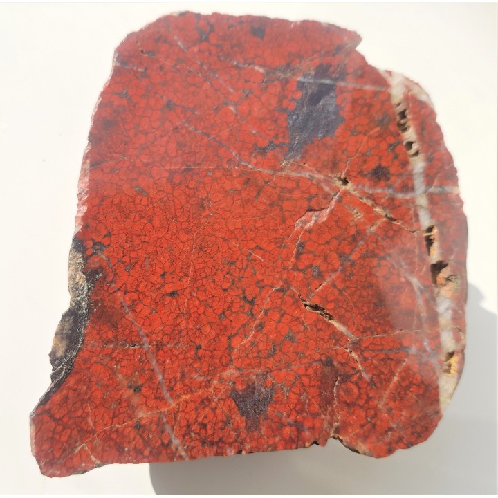 Orbikularny jaspis z okolic Kamiennej Góry