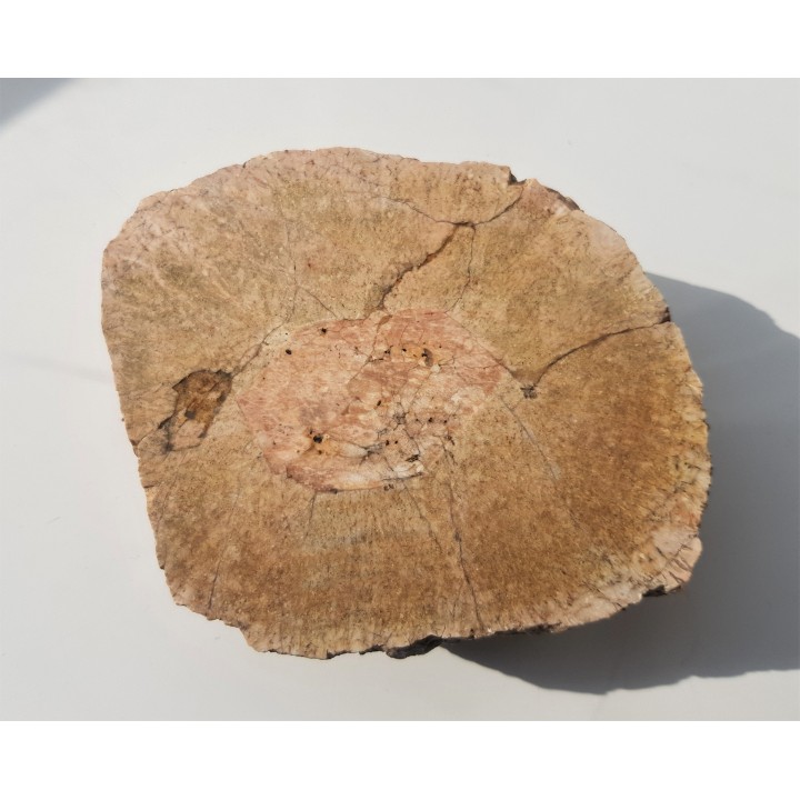 Granit kulisty (orbikularny) z Czarnego k. Jeleniej Góry