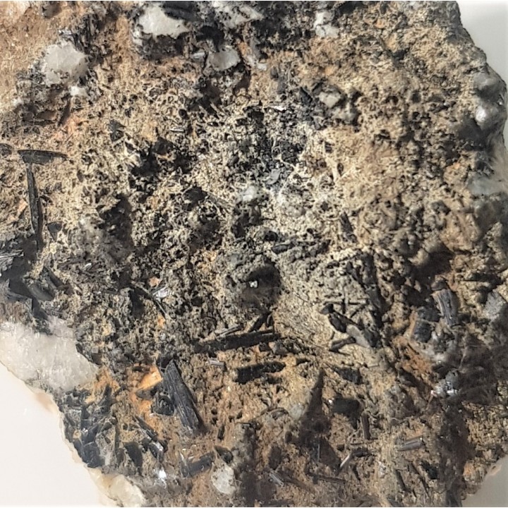 Turmaliny na szczotce skaleniowej z Łomnicy