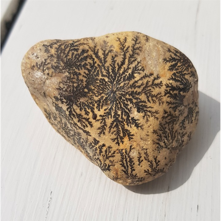 Dendryty manganowe na otoczaku wapiennym z Mokrzeszowa k. Włbrzycha