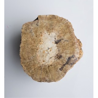 Granit kulisty (orbikularny) z Czarnego k. Jeleniej Góry