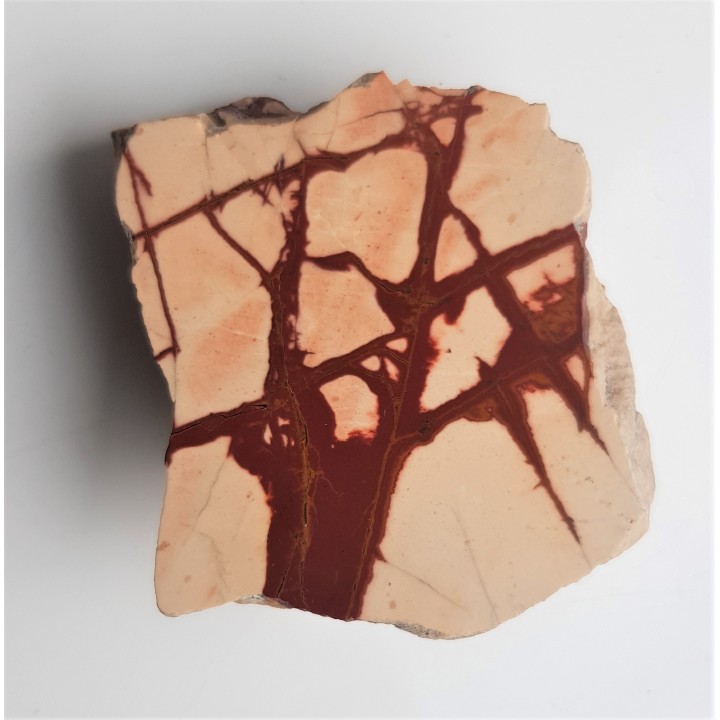 Pseudojaspis pejzażowy z Sudetów