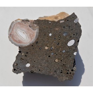 Agat z Lubiechowej w skale macierzystej