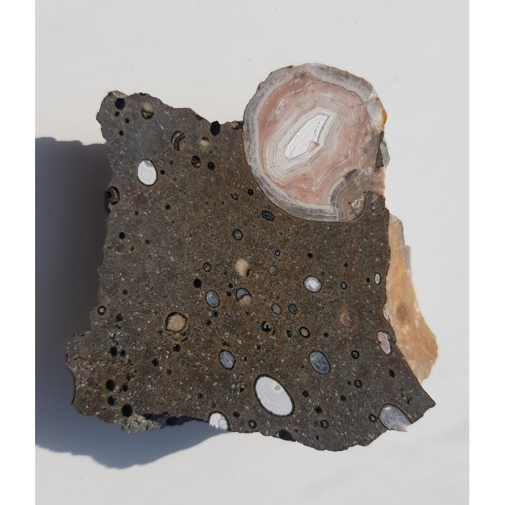 Agat z Lubiechowej w skale macierzystej