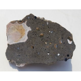 Agat z Lubiechowej w skale macierzystej