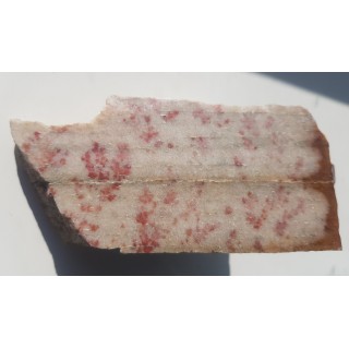 Dewoński kwarcyt z czerwonymi pseudodendrytami