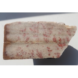 Dewoński kwarcyt z czerwonymi pseudodendrytami