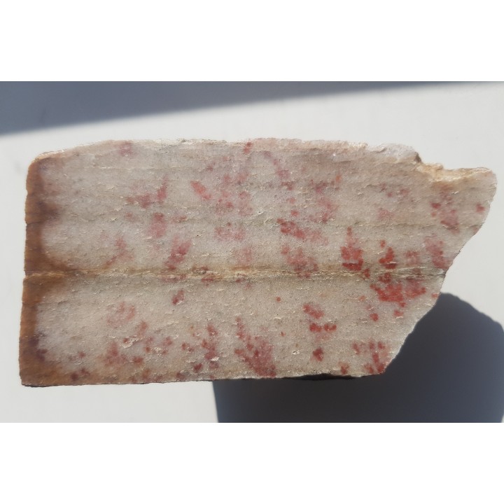 Dewoński kwarcyt z czerwonymi pseudodendrytami