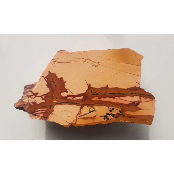 Pseudojaspis pejzażowy z Sudetów