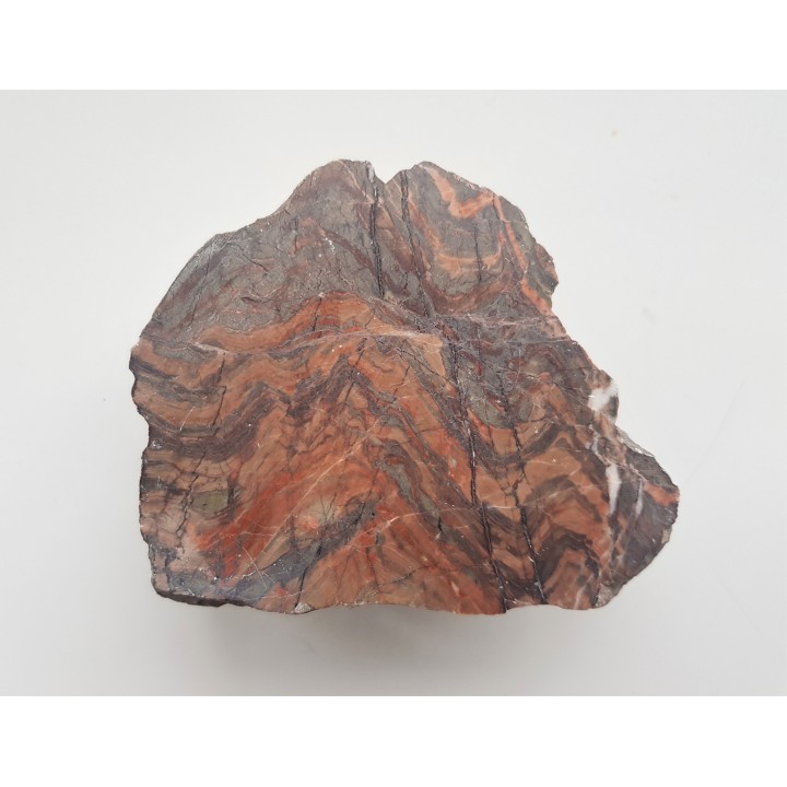 Czerwony wapień z pięknymi fałdami z Jarkowic k. Kowar