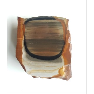 Limnokwarcyt pejzażowy