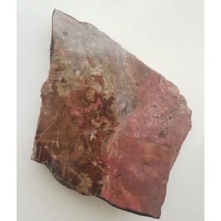 Polerowany okaz rodonitu z Iacobeni w Rumunii