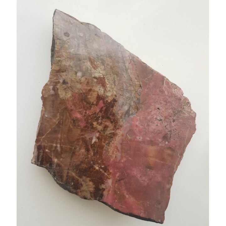 Polerowany okaz rodonitu z Iacobeni w Rumunii