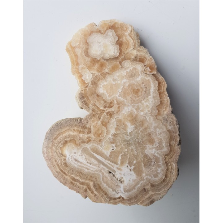 Polerowana polewa jaskiniowa z Raciszyna