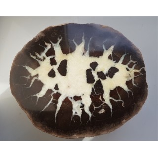 Septaria z Częstochowy