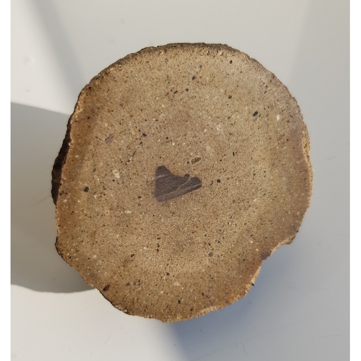 Konkrecja z szarowaki z Młynowa k. Kłodzka