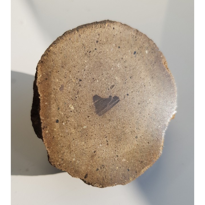 Konkrecja z szarowaki z Młynowa k. Kłodzka