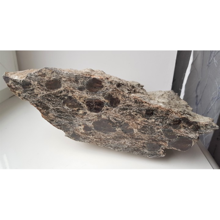 Polerowany łupek z wielkimi granatami