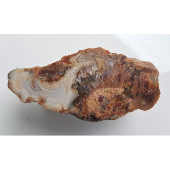 Agat "rzeczny" z Bobru w Sudetach (river agate)