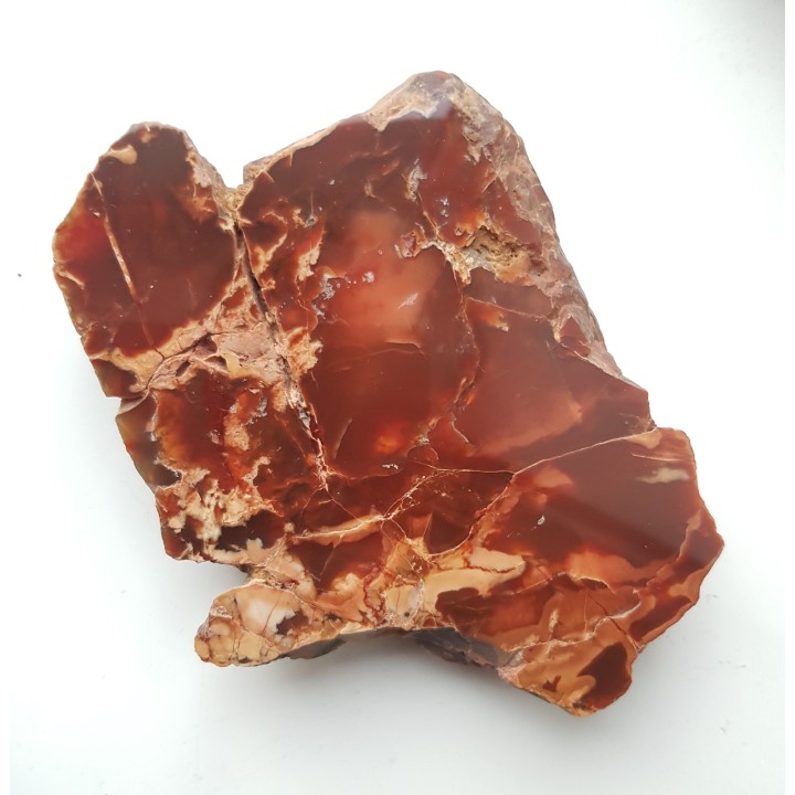 Karneol-sard z aluwiów Nysy Kłodzkiej k. Paczkowa