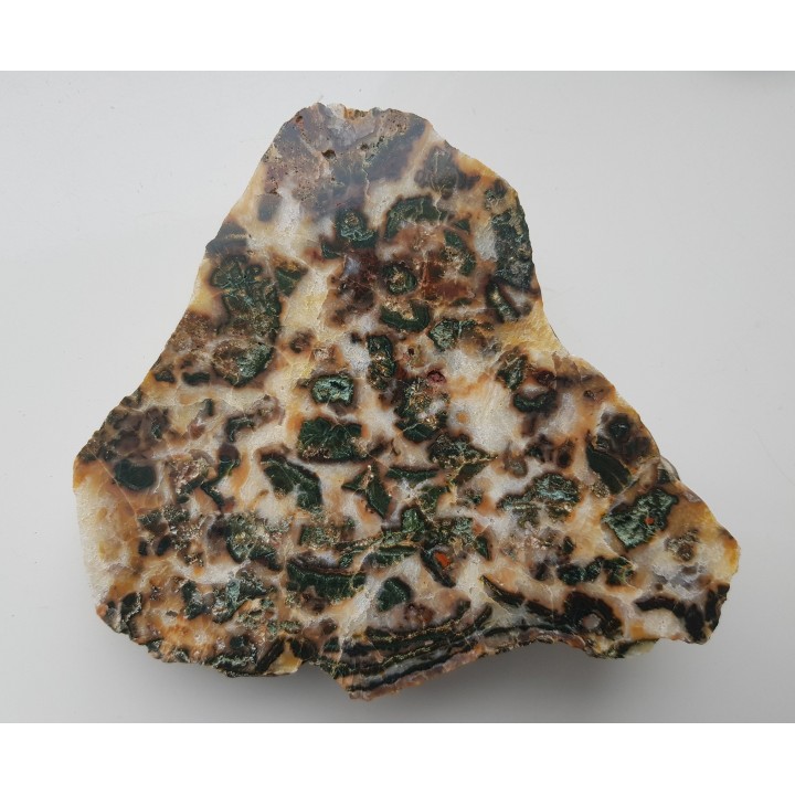 Intensywnie zielony jaspis w białym chalcedonie z aluwiów Nysy Kłodzkiej