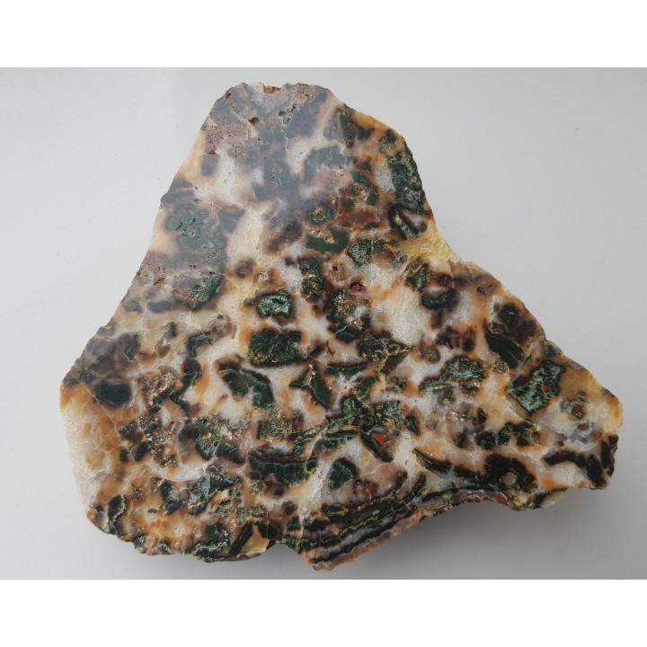 Intensywnie zielony jaspis w białym chalcedonie z aluwiów Nysy Kłodzkiej