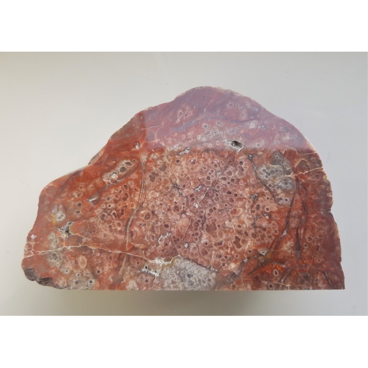 Niezwykły jaspiso-agat komórkowy z aluwiów Nysy Kłodzkiej