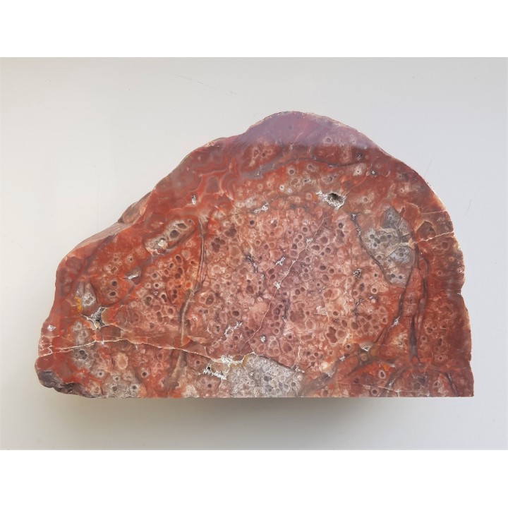 Niezwykły jaspiso-agat komórkowy z aluwiów Nysy Kłodzkiej