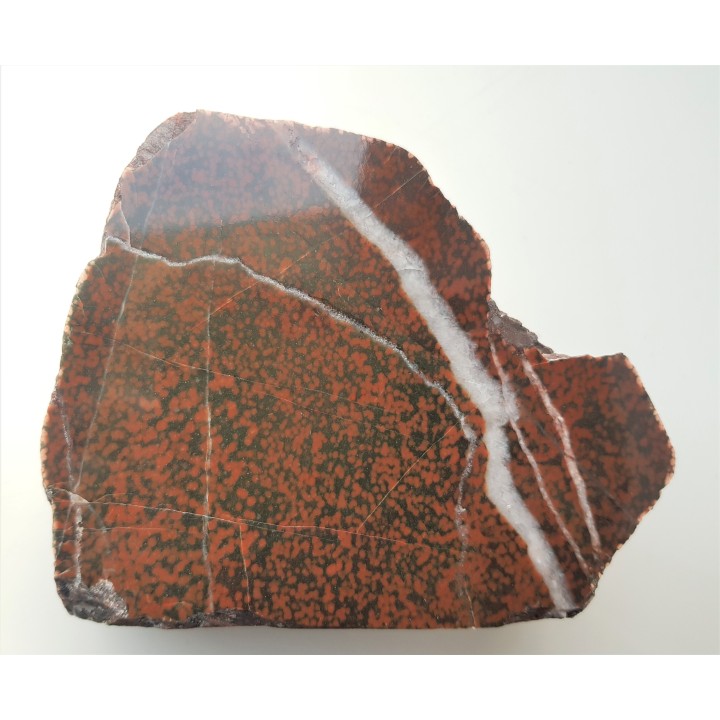 Adinol ze zlepieńców kulmu okolic Kamiennej Góry