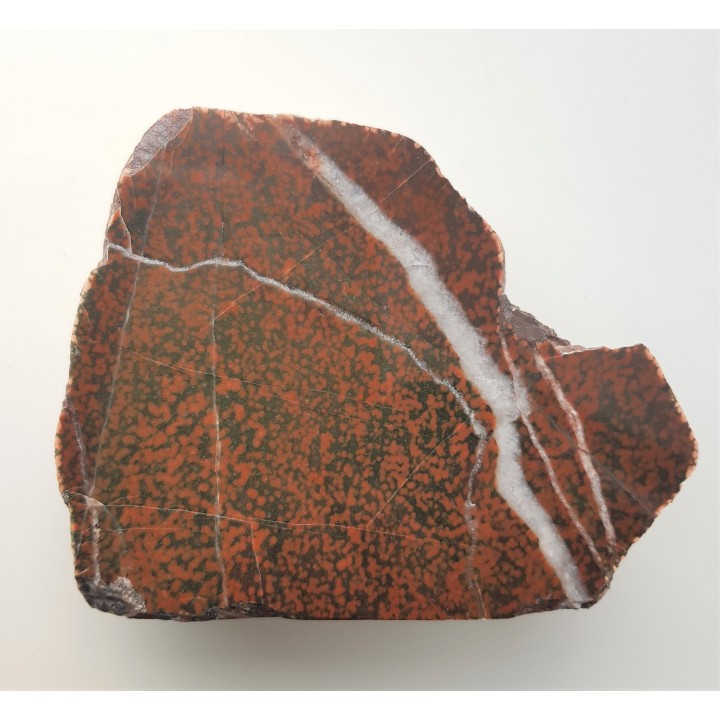 Adinol ze zlepieńców kulmu okolic Kamiennej Góry