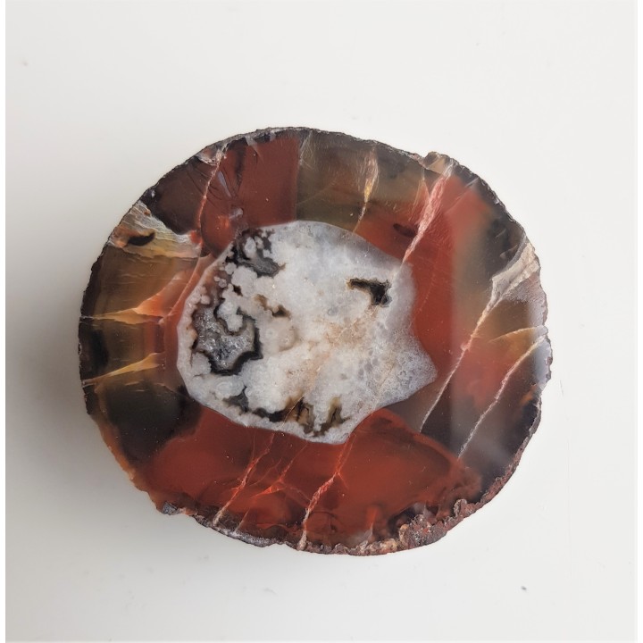 Agat z Gorzuchowa z aluwiów rzeki Ścinawki