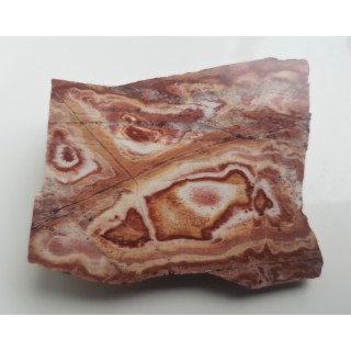 Polerowany okaz ozdobnego łupku kwarcowo-serycytowego