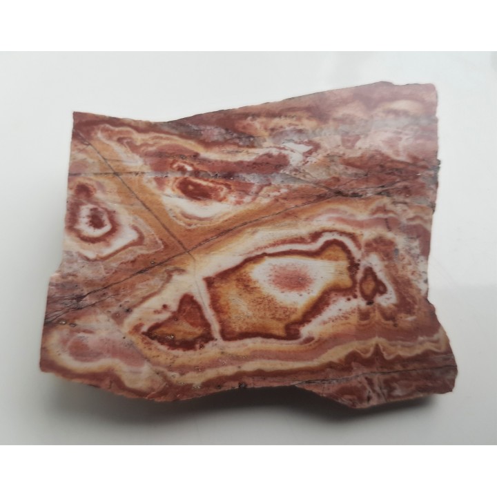 Polerowany okaz ozdobnego łupku kwarcowo-serycytowego