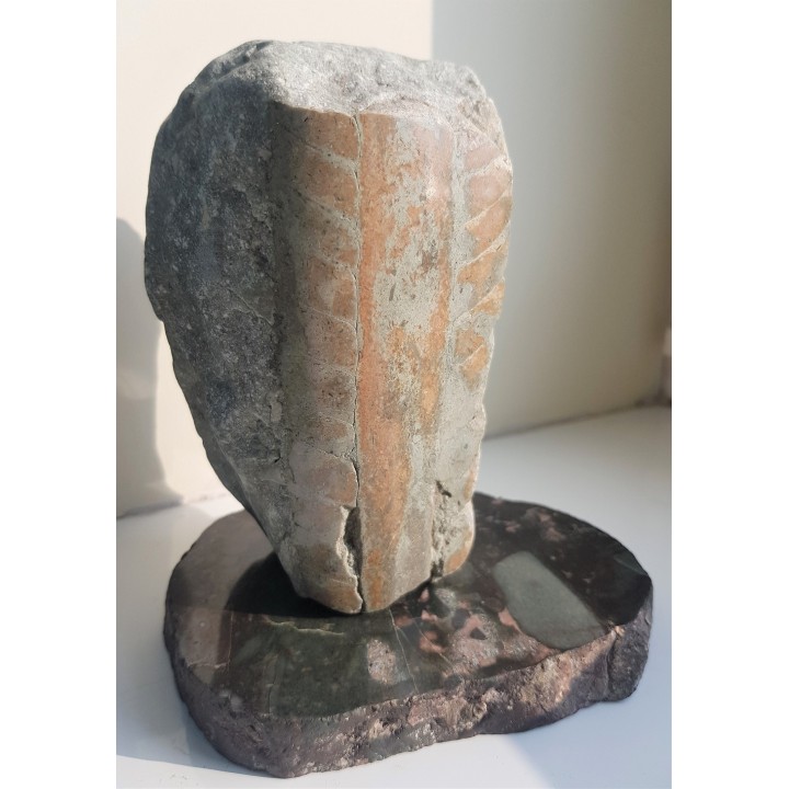 Statuetka Orthoceras