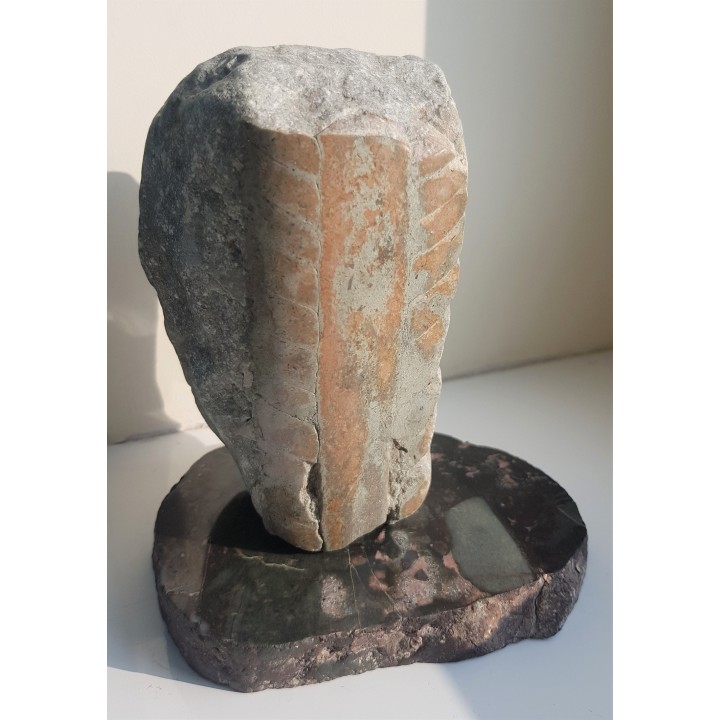 Statuetka Orthoceras