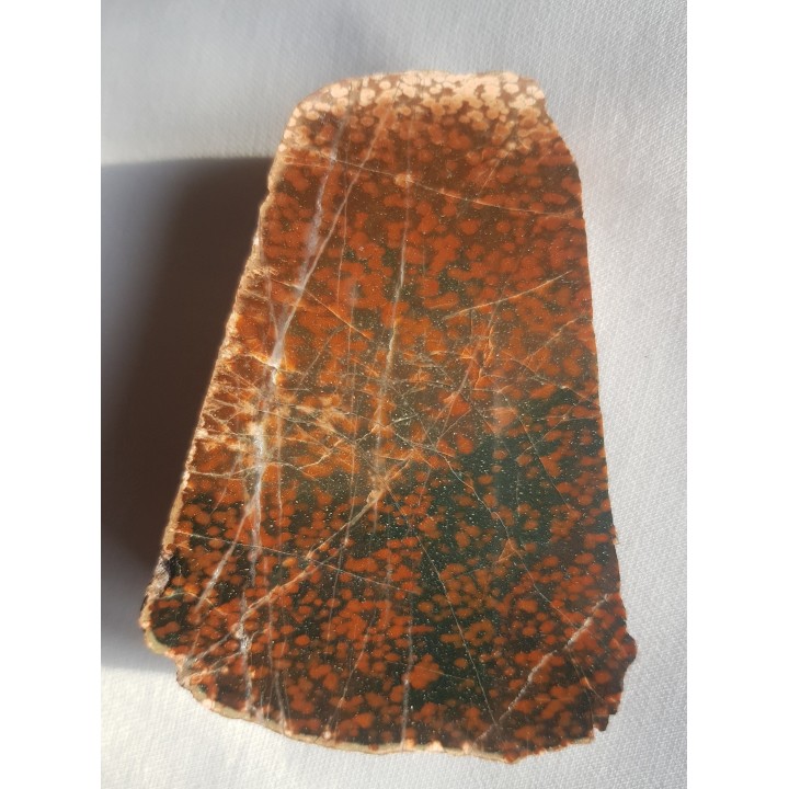 Adinol ze zlepieńców kulmu okolic Kamiennej Góry