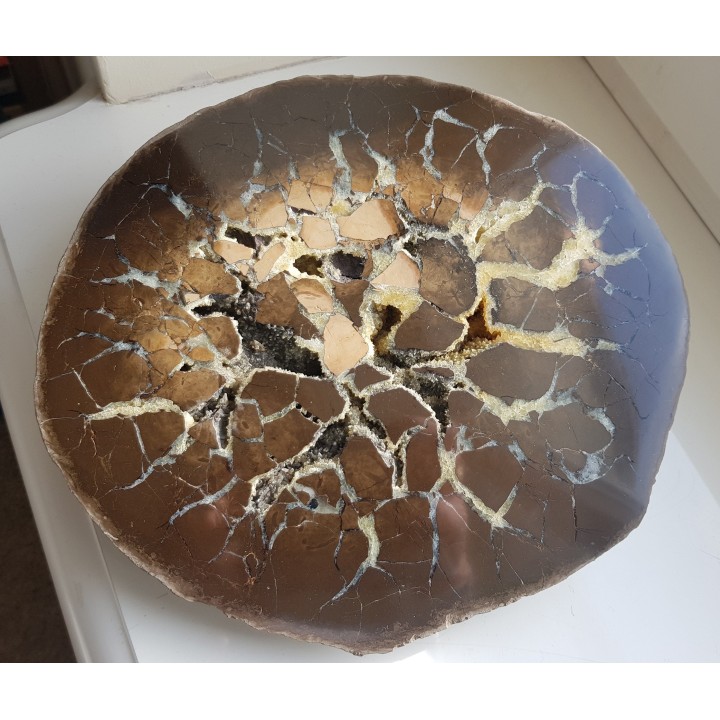 Okazały sferosyderyt, septaria z Częstochowy