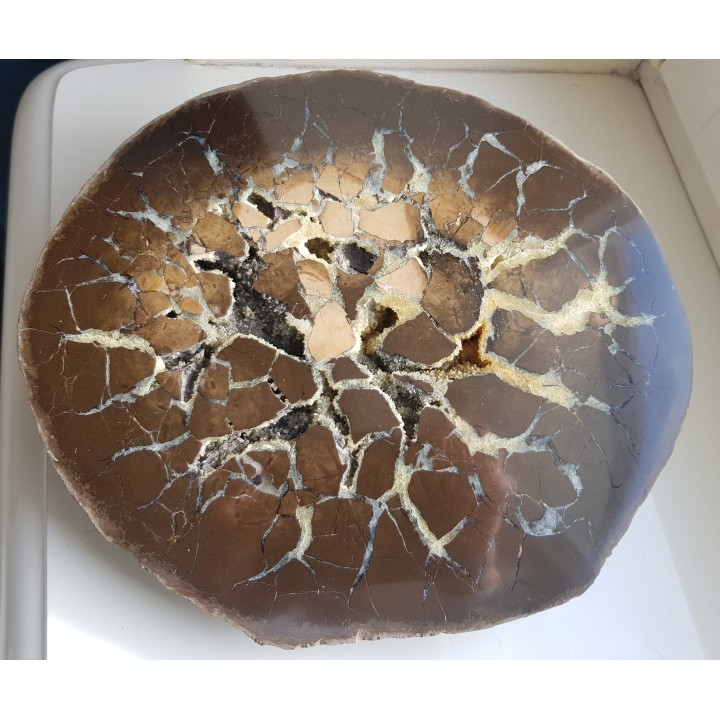 Okazały sferosyderyt, septaria z Częstochowy