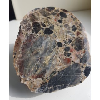 Ozdobny zlepieniec z Pilc