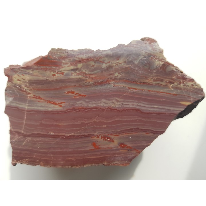 Jaspis z aluwiów Nysy Kłodzkiej