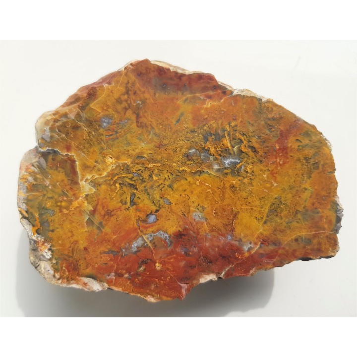 Barwny jaspiso-agat z aluwiów Nysy Kłodzkiej